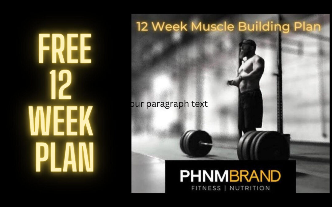 Free 12 Week Workout Plan